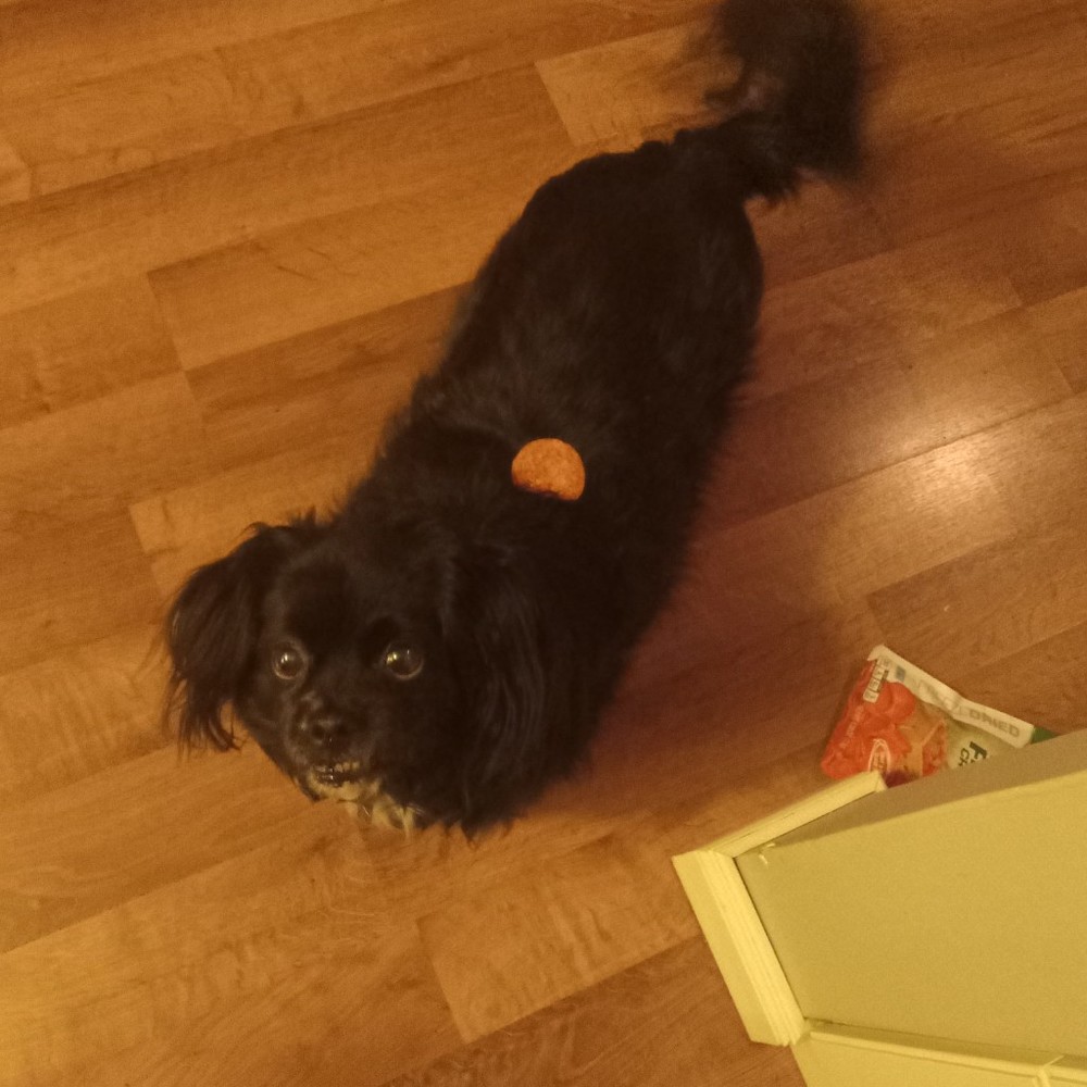 Meet your Posher, Joe